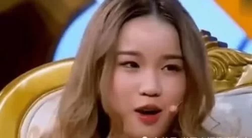 崇洋媚外的海归回国上节目，不断夸大国外好生