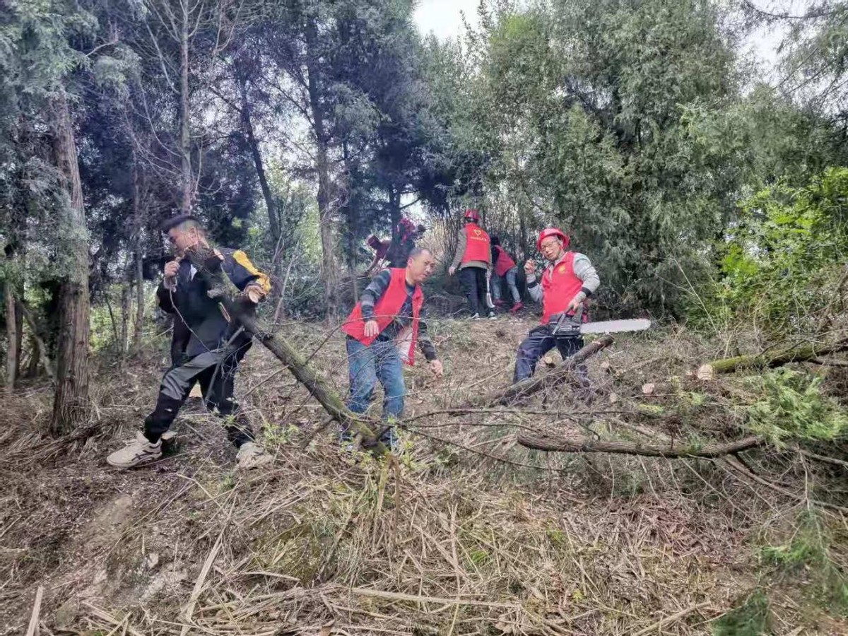 砍伐隔离带，构筑森林防火“安全墙”——记阆中市洪山镇一把伞村党支部3月主题党日活动