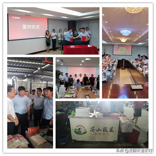 打造长三角“菜篮子”,兰陵在行动
