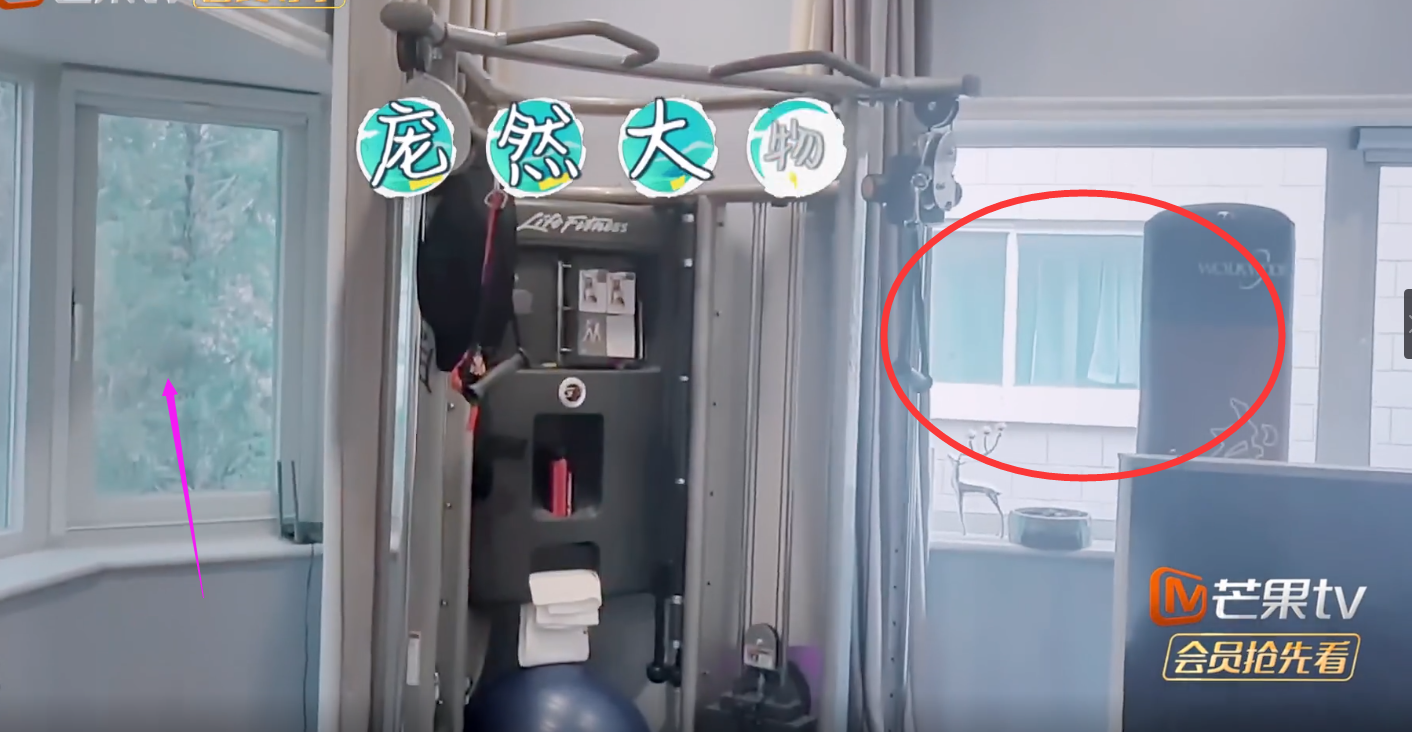 寧?kù)o豪宅引唏噓！插線(xiàn)板隨地扔，客廳滿(mǎn)是健身器，浴室就拉個(gè)簾？