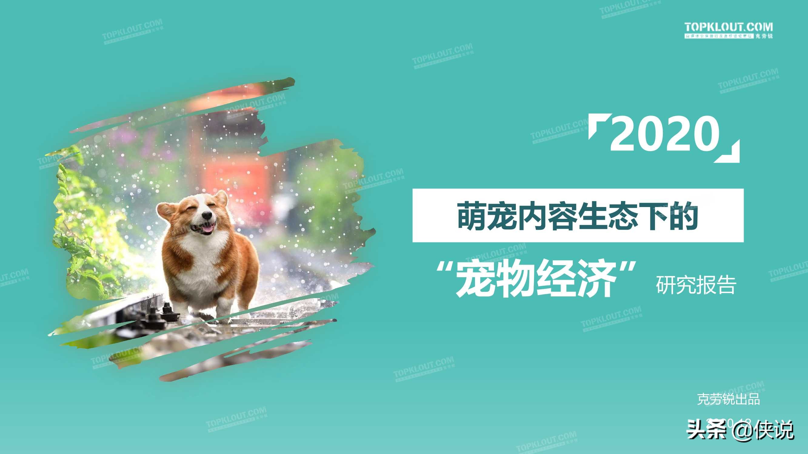 克劳锐：2020萌宠内容生态下的宠物经济