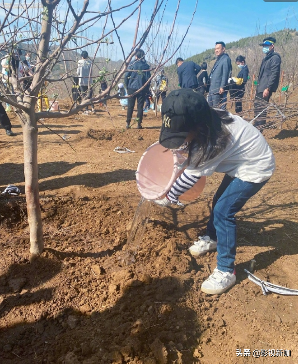Dong Xuan takes child to enjoy spring! 4 years old of small dimple are planted the tree has a model to have kind, distinctive temperament goes out fully between forehead