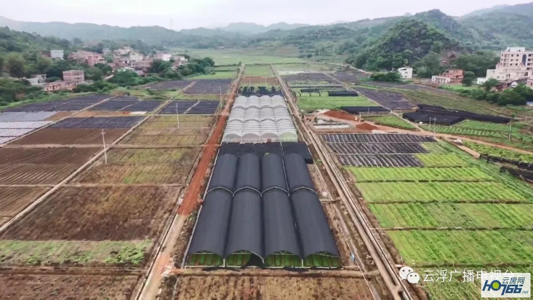 云浮：大力创建国家中医药产业发展示范区