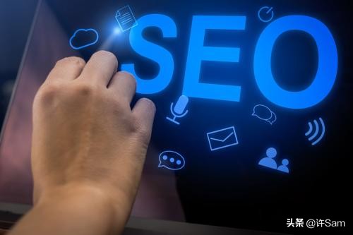 新手如何快速提升网站优化排名