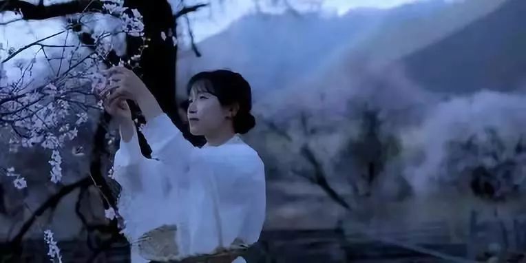 网红李子柒和国家院士袁隆平一起“获奖”？李