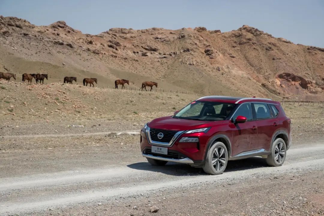 动力强、四驱更强的城市SUV！试驾全新一代奇骏