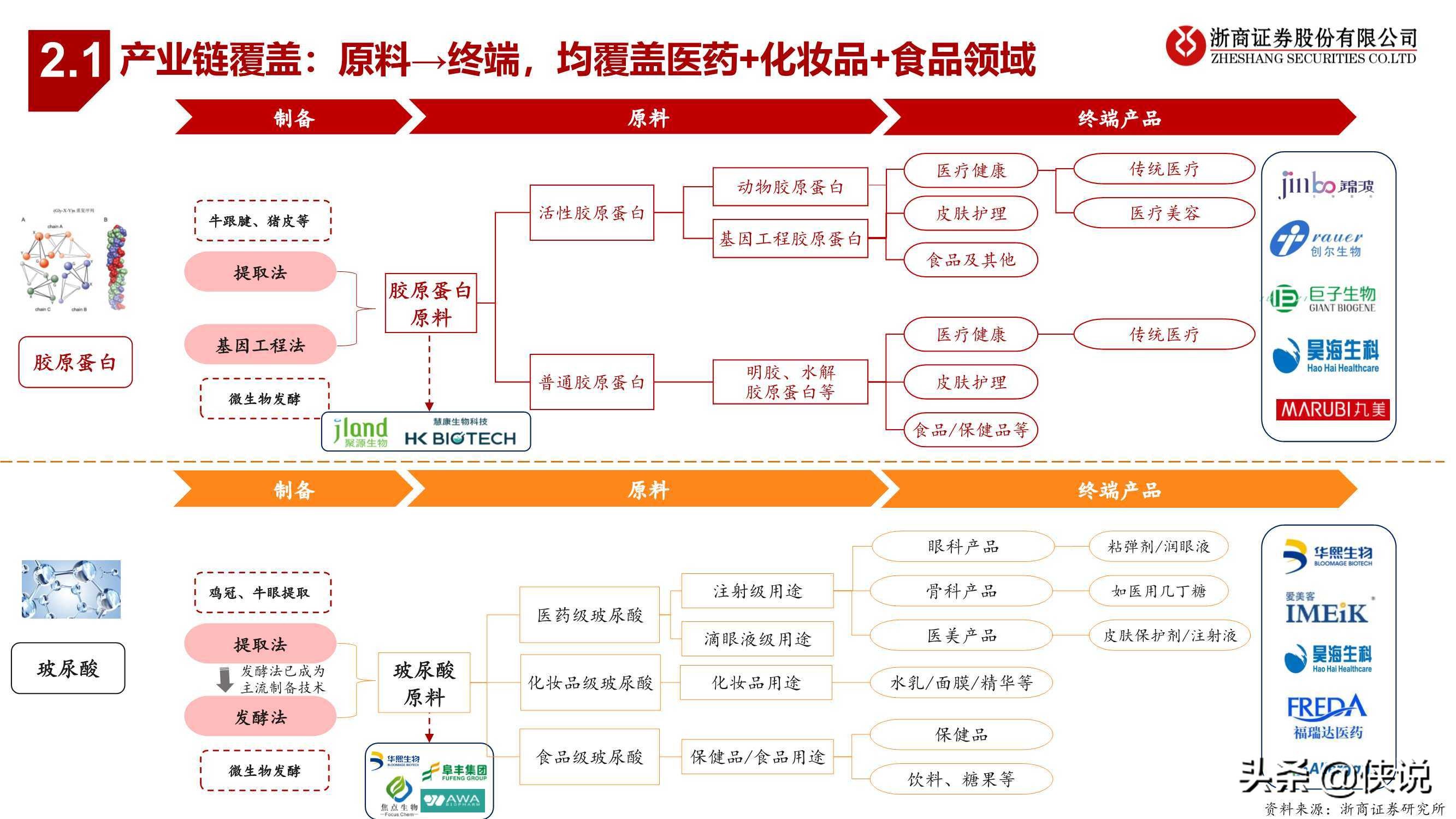 医药生物行业胶原蛋白：与玻尿酸并驾齐驱的掘金赛道（浙商证券）