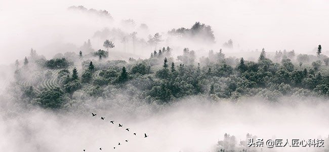 百度搜索没有展示图片怎么解决？内页搜索结果没有图片怎么办？