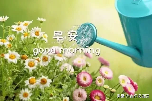 问候大家早上好快乐的早安短信祝福，早上好表情美图图片