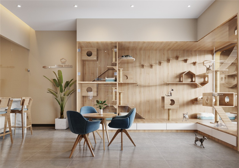 合肥宠物店装修 这么fashion的宠物店装修 可不能错过