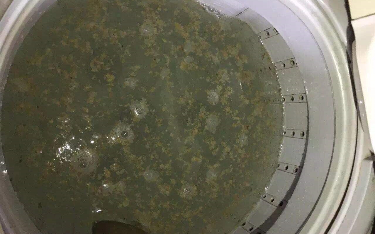 洗衣机3个月不清洁，衣服越洗越脏，一碗水彻底清洁洗衣机-第8张图片-农百科