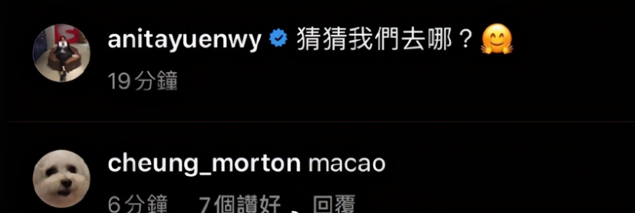 袁詠儀和張智霖一同出行，曬合照秀恩愛，魔童現身評論區“搗亂”