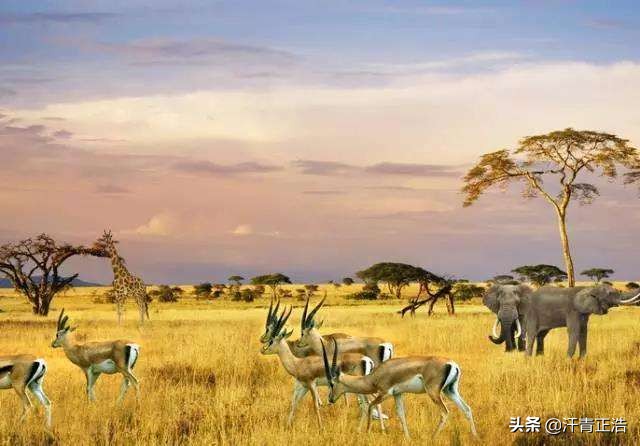 日子这么穷，问题这么多，破产30年的津巴布韦为