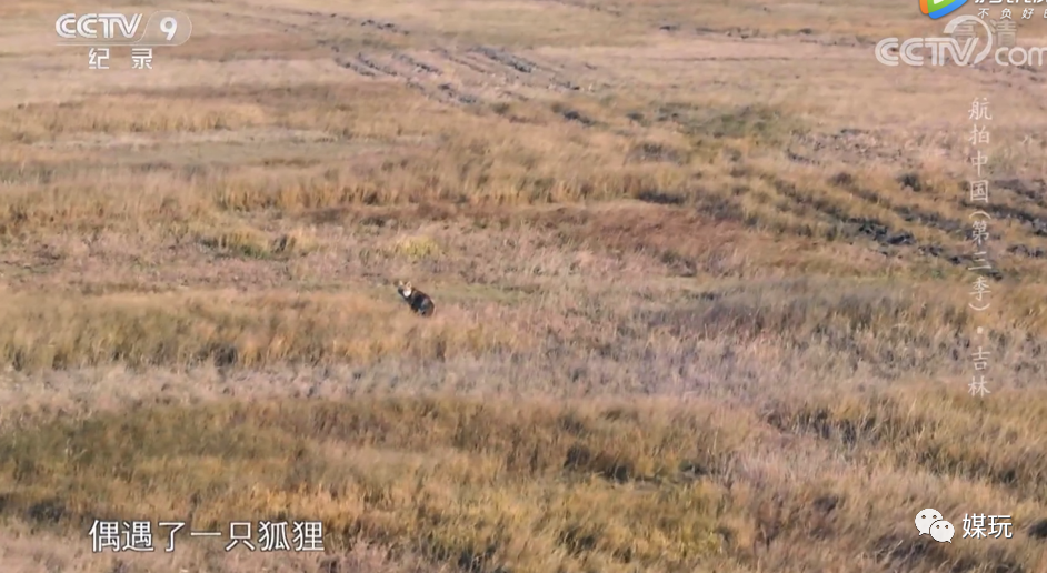 彩蛋不断！这一季《航拍中国》是怎样靠“翻车