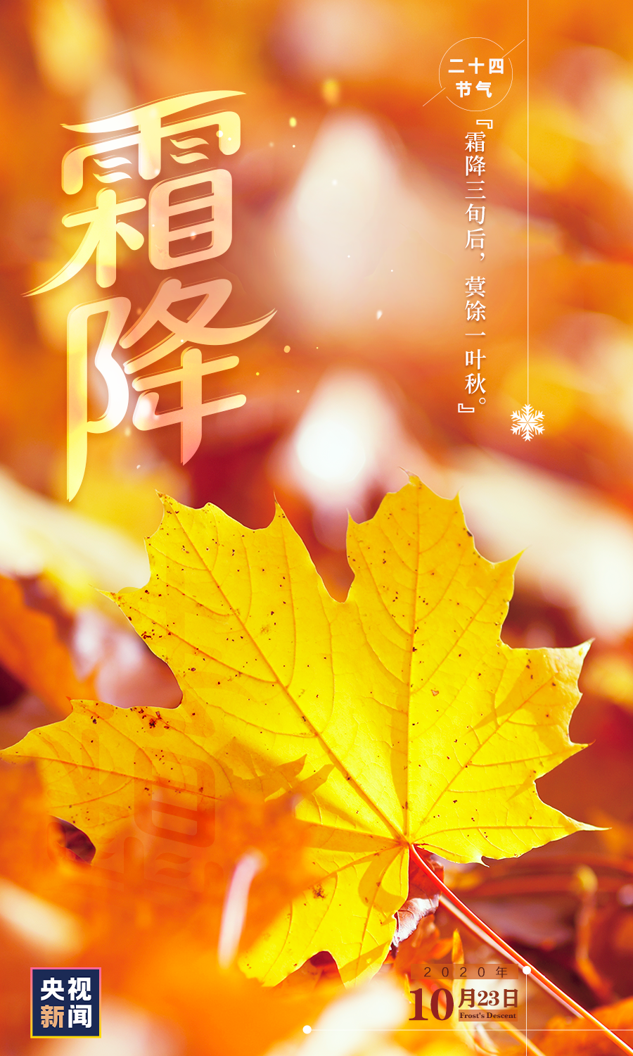 ⷨԷ˪ѮqһҶ