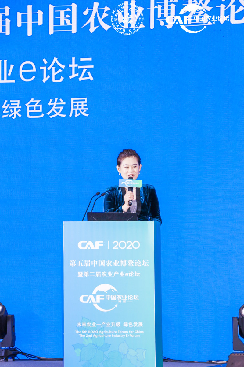 让定心绿茶走出国门，享誉世界