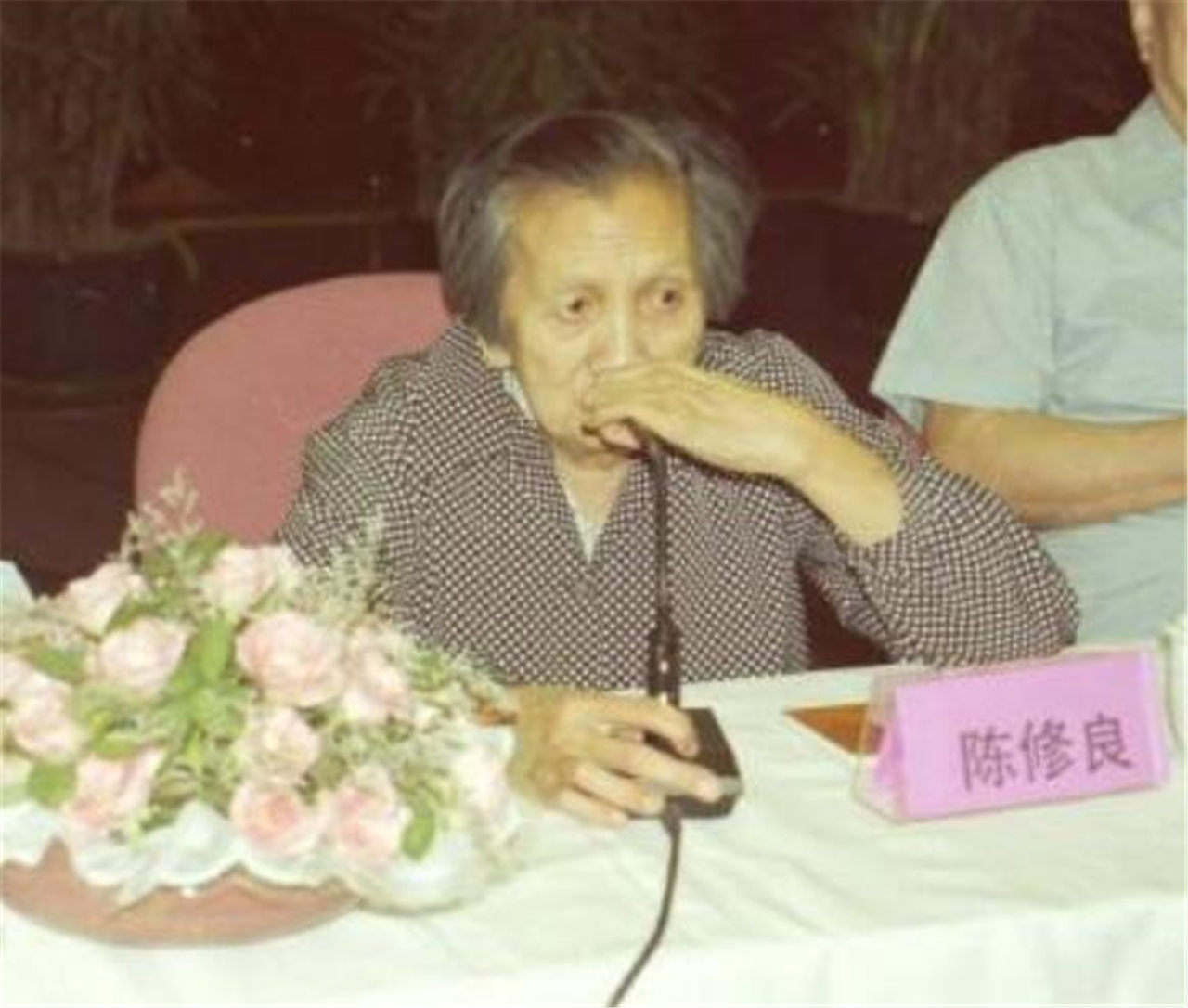 陈修良：潜伏南京从未暴露，策反国军轰炸总统