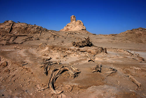 我去东边找水井：彭加木和新疆罗布泊的谜团这种说法比较靠谱