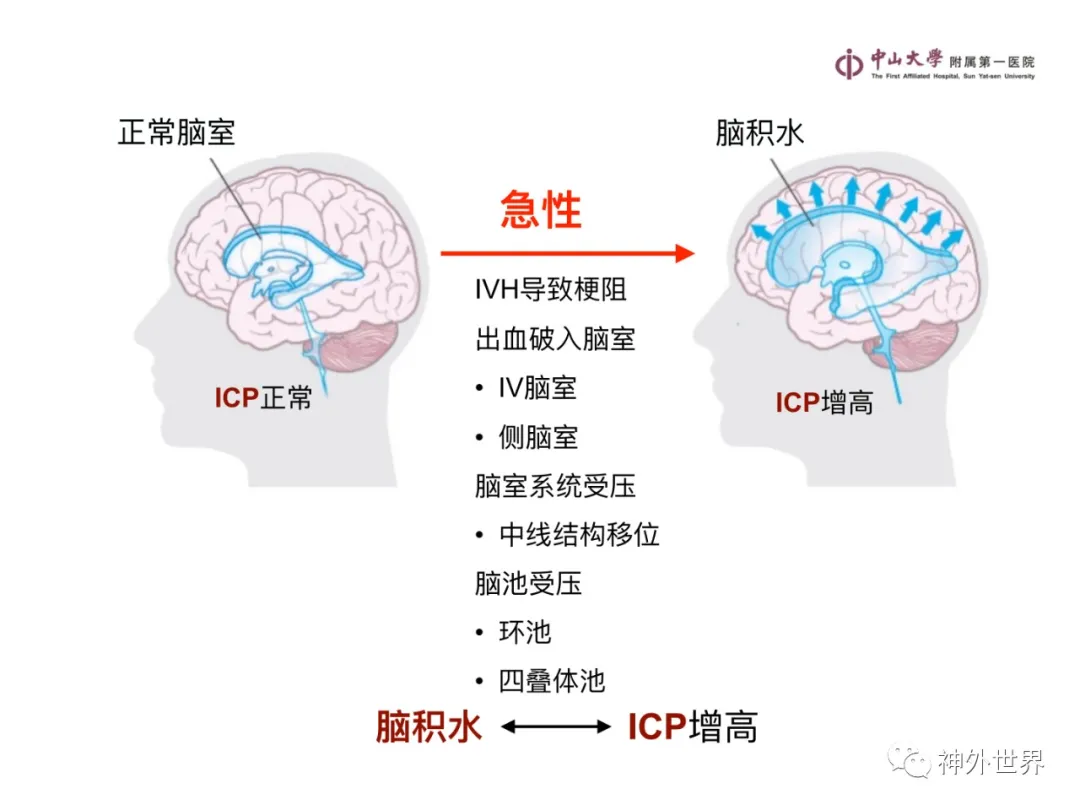 最全影像总结 | 颅内病变 MR、CT 的阅片技巧，太赞了