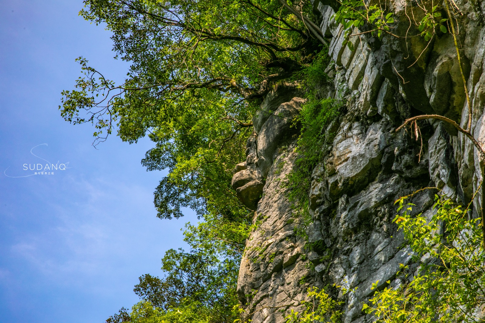 Secret Hubei Tour: Enshi Earth Heart Valley, named "China's Most Beautiful Wonderland" by CNN