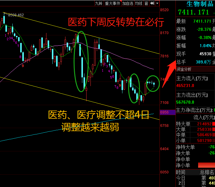 看葛兰、赵蓓医药投资逻辑，下周一就是买点