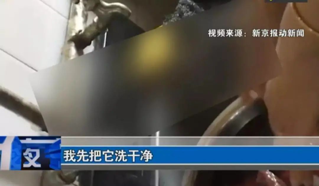 “携带艾滋，梅毒！月加工上万”胎盘生意被爆，看到殡仪馆我傻了