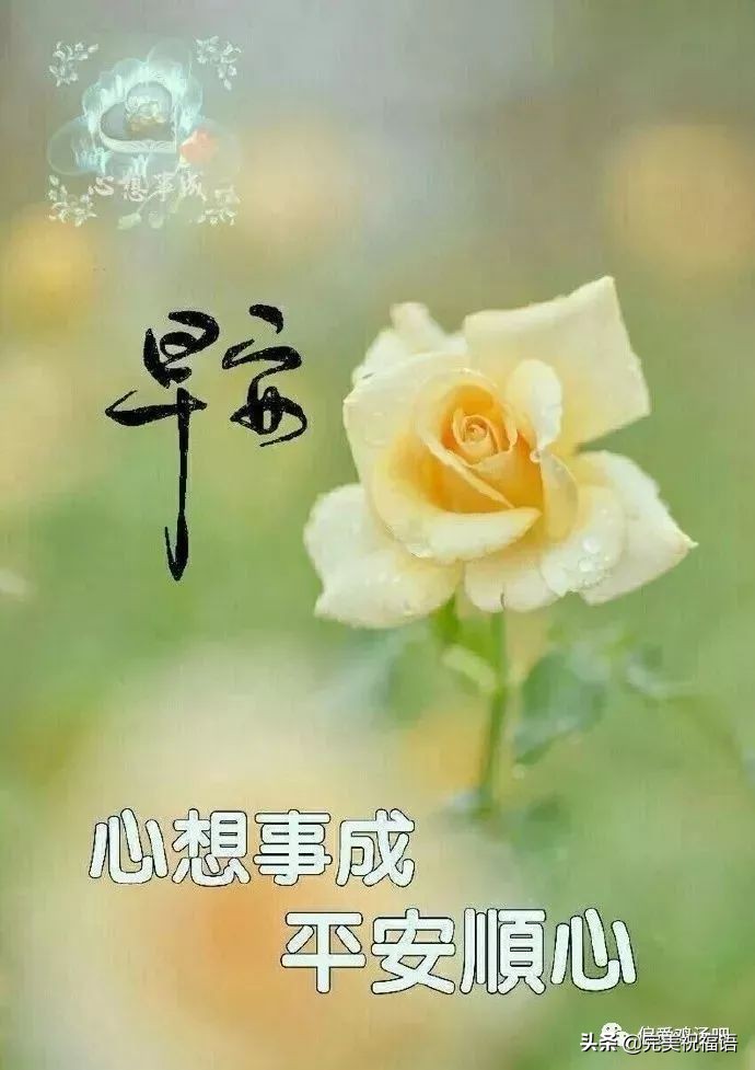 2021最新早上好动态图片带字和鲜花 闪动图片