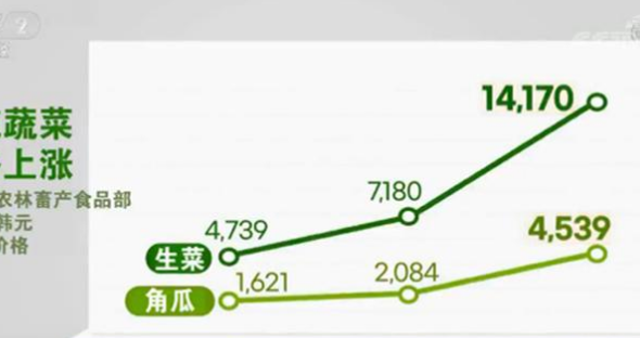 韩国大白菜价格猛涨，韩国主妇感叹：这不是吃白菜，是吃钻石啊