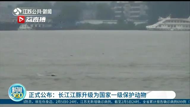 《国家重点保护野生动物名录》正式公布 长江江豚升级为国家一级保护动物