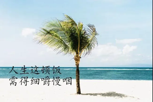 适合发朋友圈人生感悟的经典语录 精辟有哲理图片
