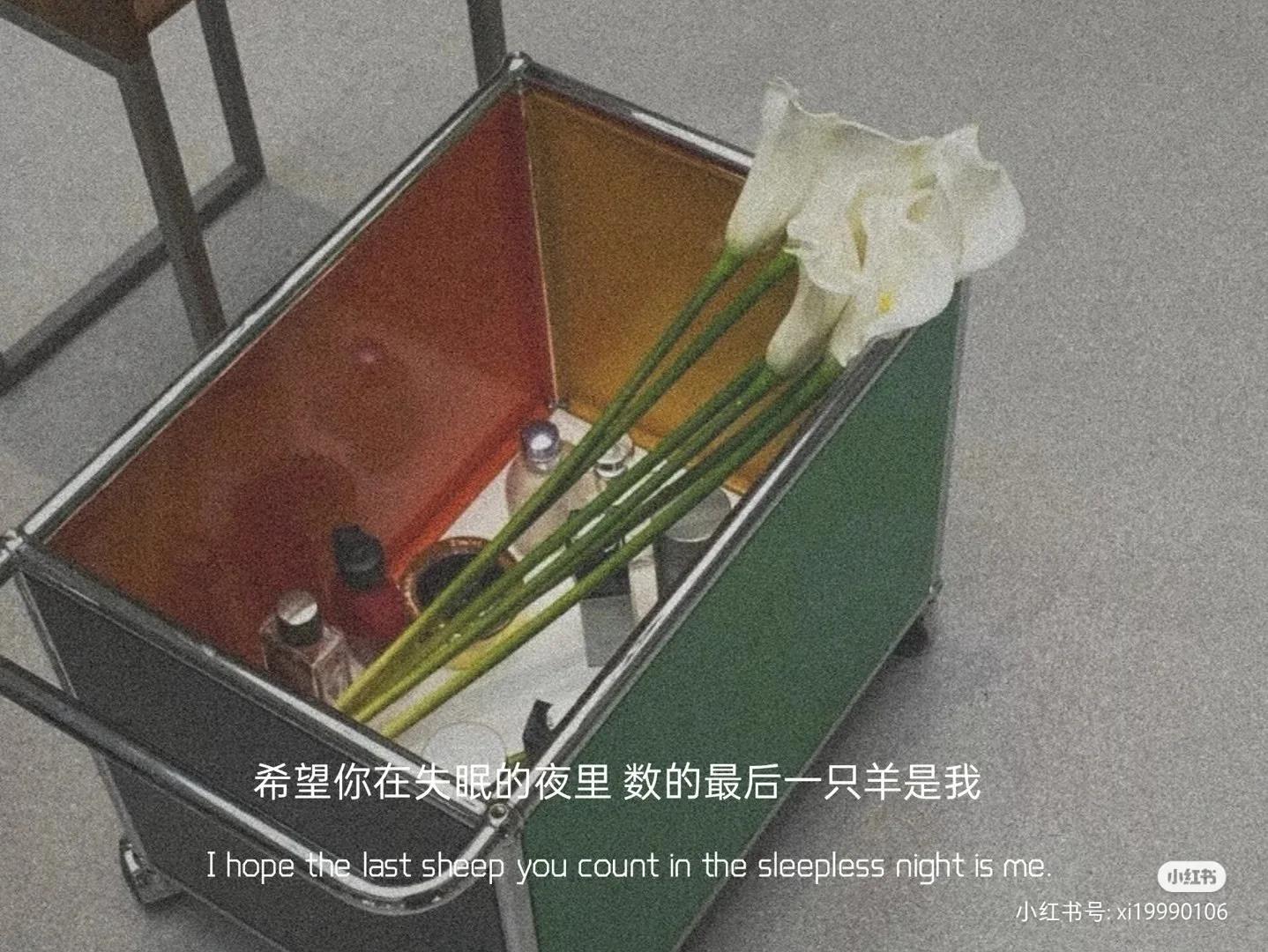 适合发动态的短句一定要看哦！