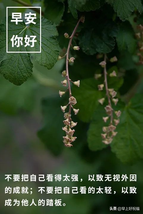 新的一天从早安心语开始 2021早上好图片图片