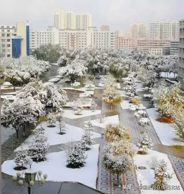 甘肃初雪|甘肃18所高校初学雪景大PK,快来看看有你的母校没?