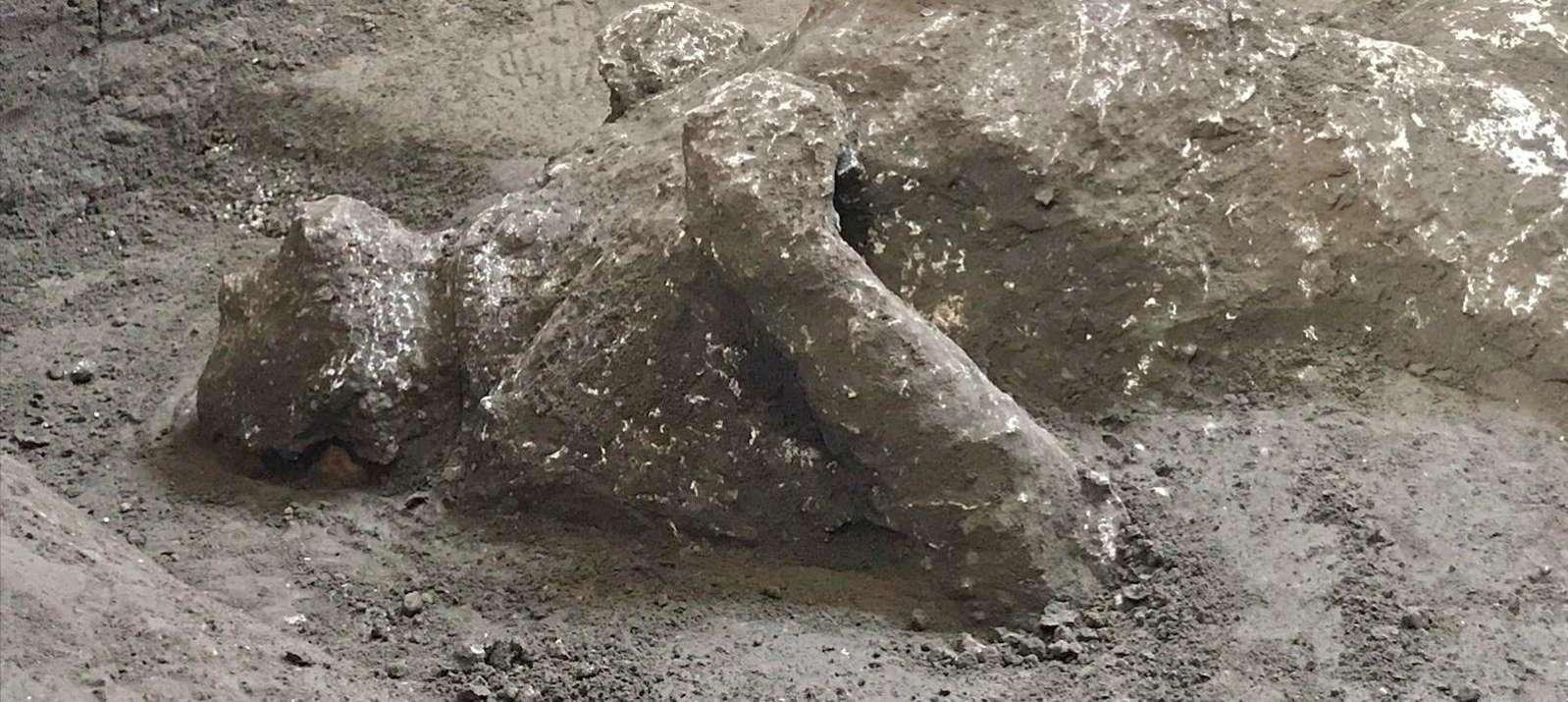 庞贝古城新发现:两名男性化石,保存极为完好