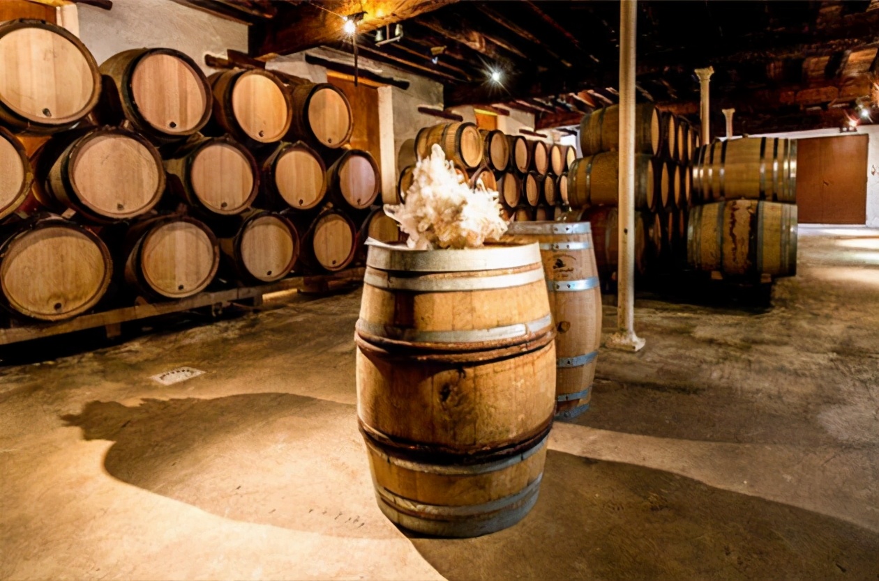 法国最值得参观的十家香槟酒庄