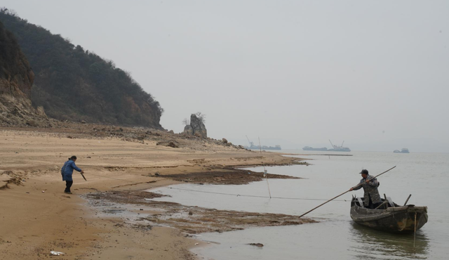 长江禁渔十年后，鱼太多导致水里没有食物，鱼会进化成什么样子？