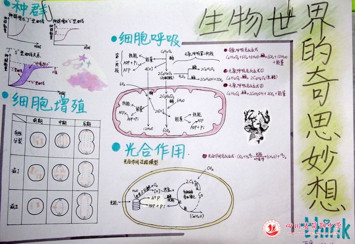 四川省简阳中学怎么样?首届生物学科节(图29)