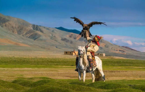 ��������һλ�������͵�ū���ҵ���ž����������ݺ󾪶���������