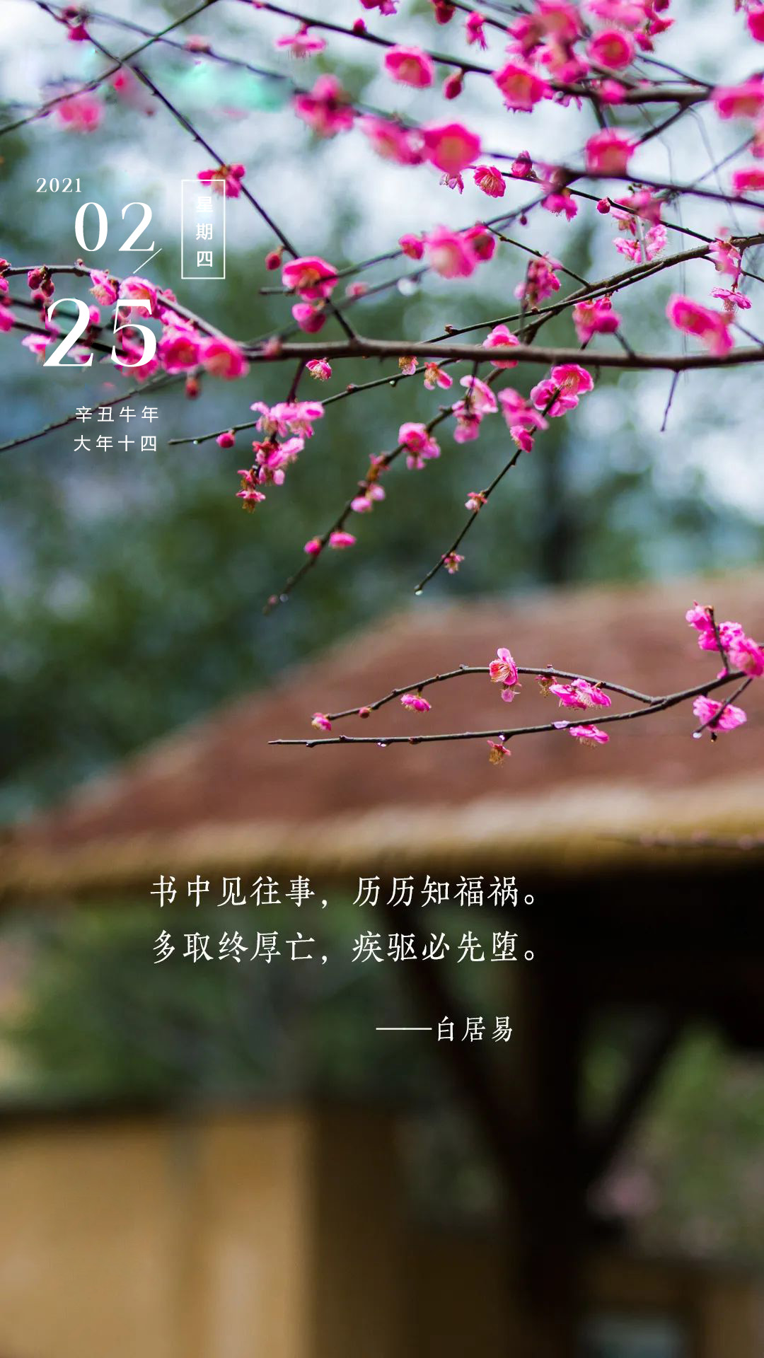 正月十四早安图片配图正能量带文字，阳光激励语录，勇攀高峰