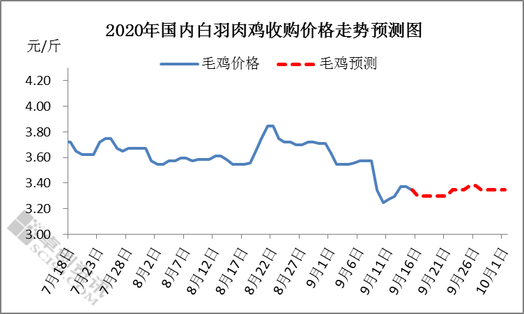 9月白羽肉鸡养殖首现“亏损”双节前鸡价是否有回升空间？