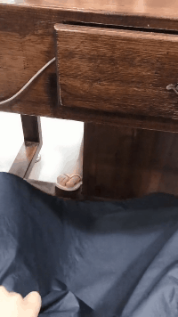 搞笑动态图片：确认过眼神，你就是我要找的人！