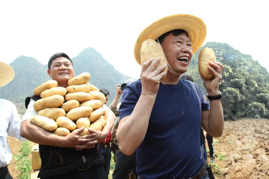 互联网时代的《山海情》：电商平台的助农故事