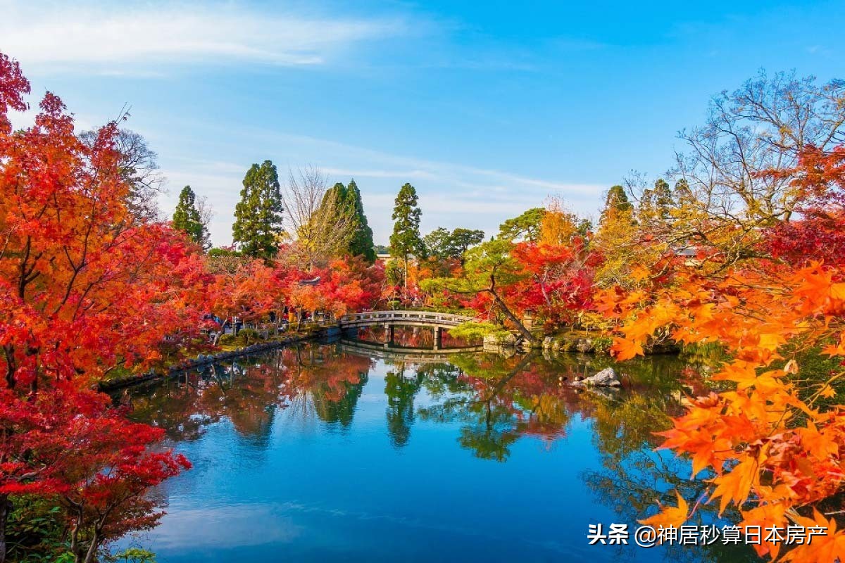 最令人期待的日本之秋，莫过于这一抹红