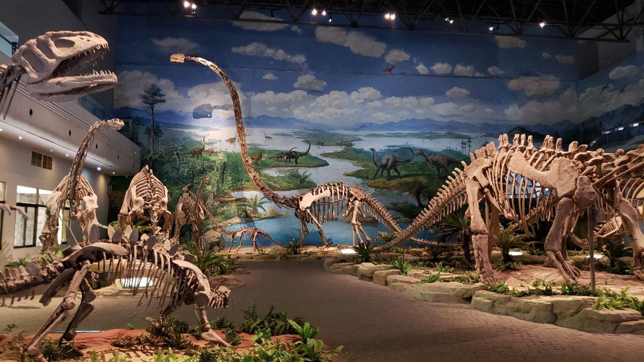 自贡恐龙博物馆的镇馆之宝是“和平永川龙”，它的龙爪曾经骨折过