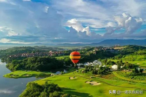 案例：乡村振兴项目政策和补贴