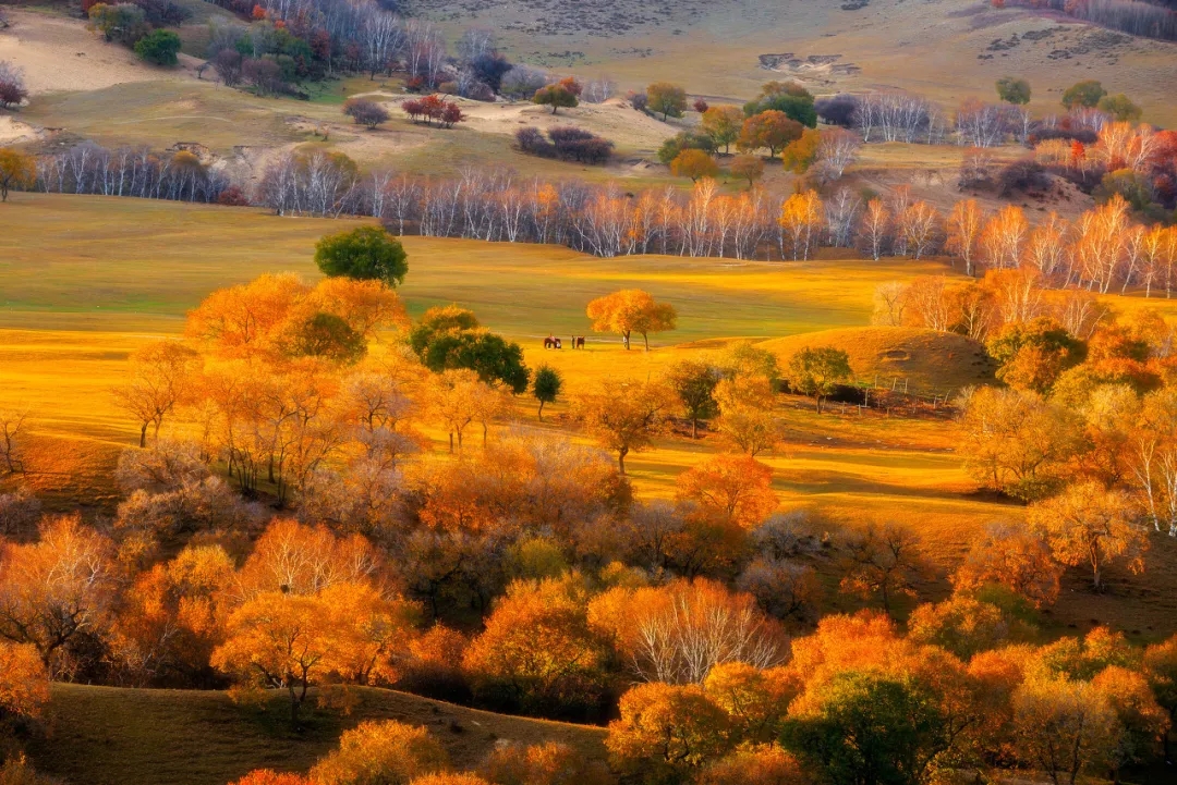 Recommended tourist destinations in late October: go to meet the most romantic autumn scenery!  (under)