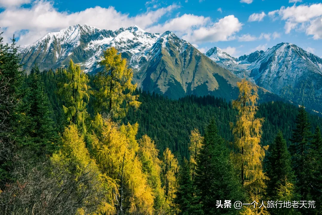 这才是10、11月最值得一去的地方！秋天第一场旅行，你想去哪