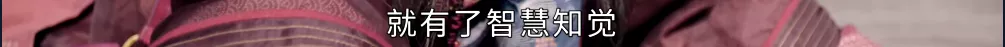 九年了,她的演技还是那么烂