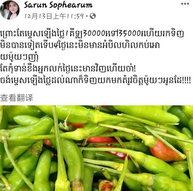 财经丨柬埔寨与中国两国辣椒价格同时“失控”
