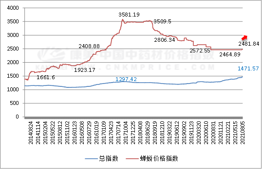 灾情过后，蝉蜕行情走势渐强